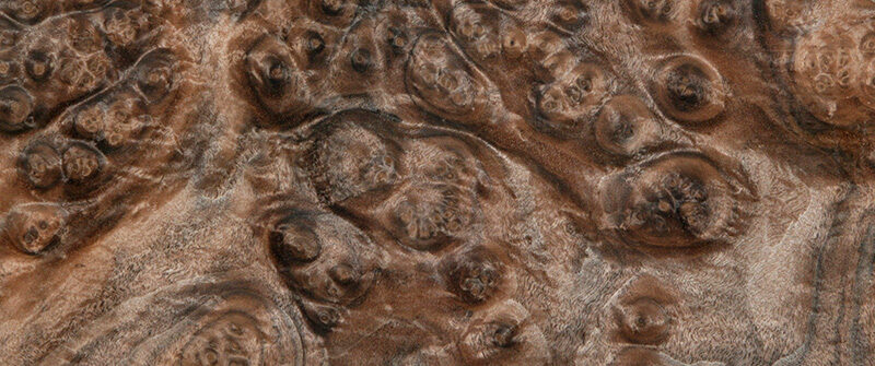 products-specialty-header_ad096e7aaa2764d1f685fd79790c8d21